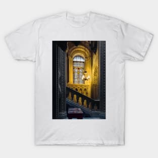 Penrhyn castle- window3 T-Shirt